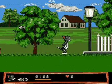 Tom and Jerry - Frantic Antics (USA) (1993) screen shot game playing